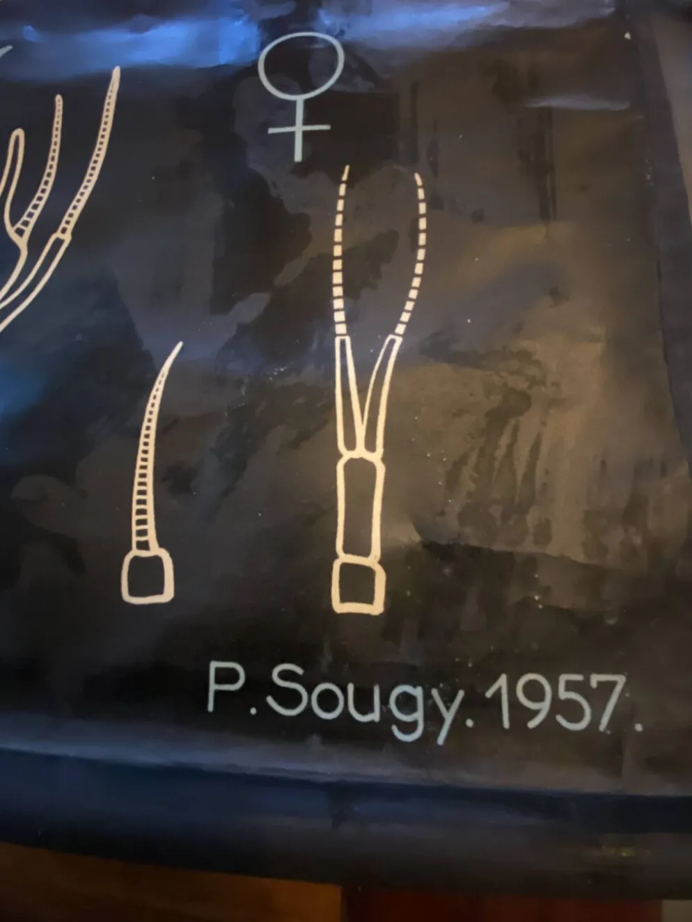 Affiche Dr Auzoux, Paul Sougy 1957, N° L ECREVISSE