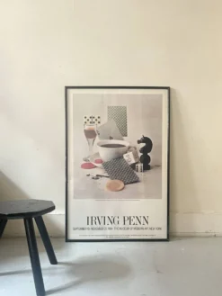 Affiche originale et officielle Moma New York, Irving Penn 1984