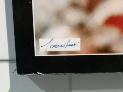 Affiche photographique avec des poissons tropicaux par Giovanni Smorti, années 1980.
