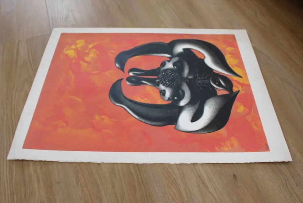 Affiche sérigraphie Mujer de l'artiste ramon alejandro numérotée 48/60