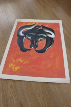 Affiche sérigraphie Mujer de l'artiste ramon alejandro numérotée 48/60