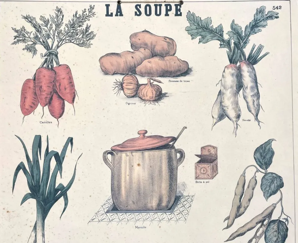🥕 Ancienne affiche scolaire Deyrolle originale, 542, 1950 - La soupe, les