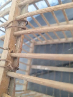 Ancienne cage en bois de transport d'oiseaux