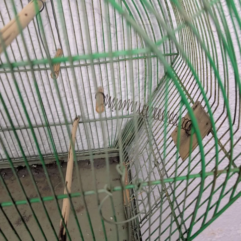 Ancienne Cage à Oiseau Verte