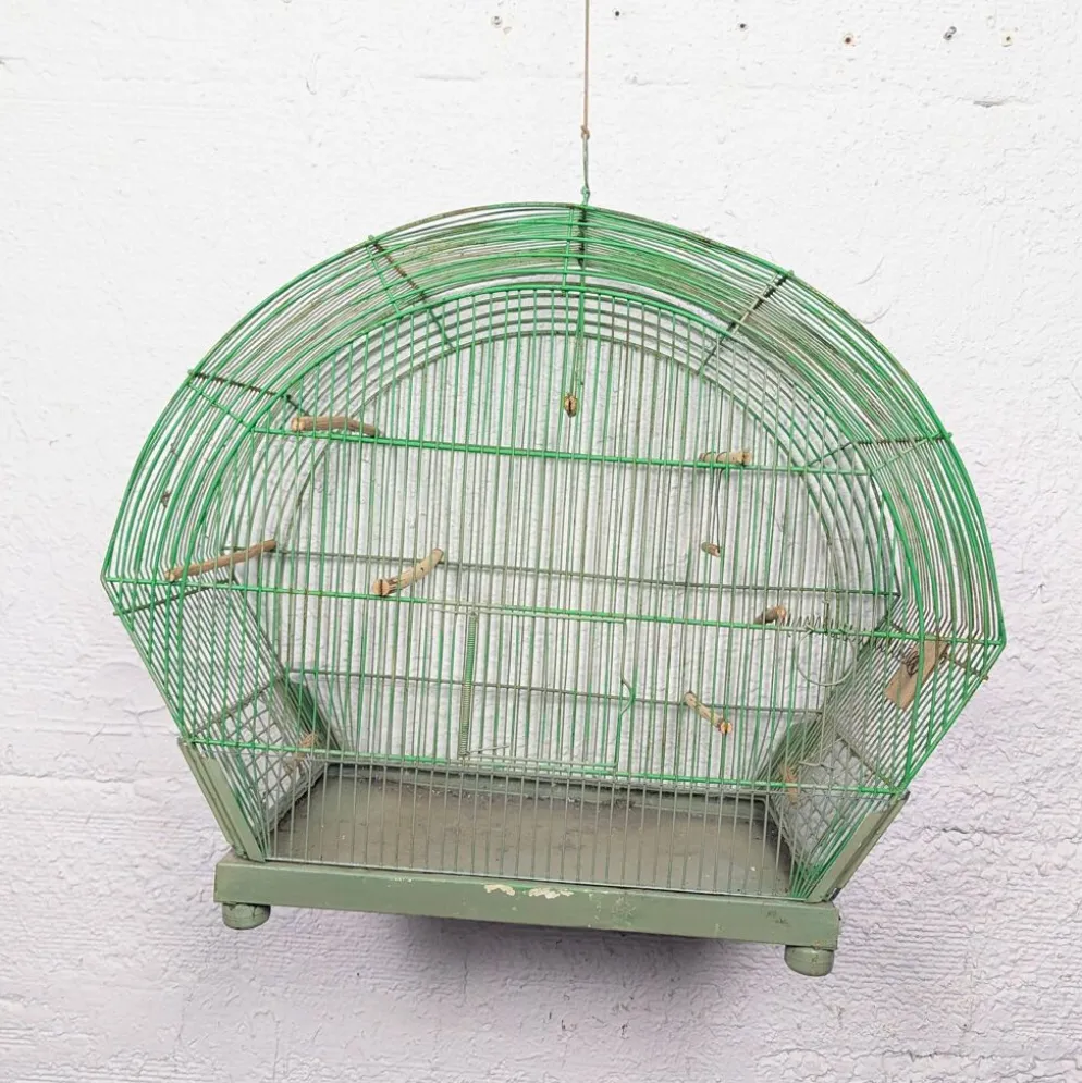 Ancienne Cage à Oiseau Verte