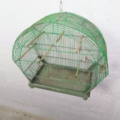 Ancienne Cage à Oiseau Verte