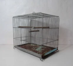 Ancienne cage à oiseau vert mint métal vintage