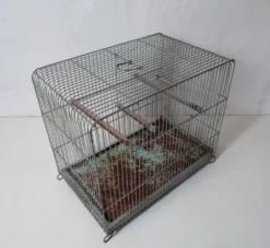 Ancienne cage à oiseau vert mint métal vintage