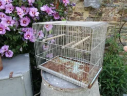 Ancienne cage à oiseau vert mint métal vintage