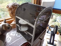 Ancienne cage à oiseaux