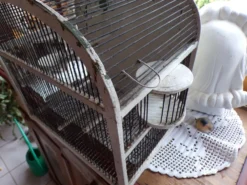 Ancienne cage à oiseaux