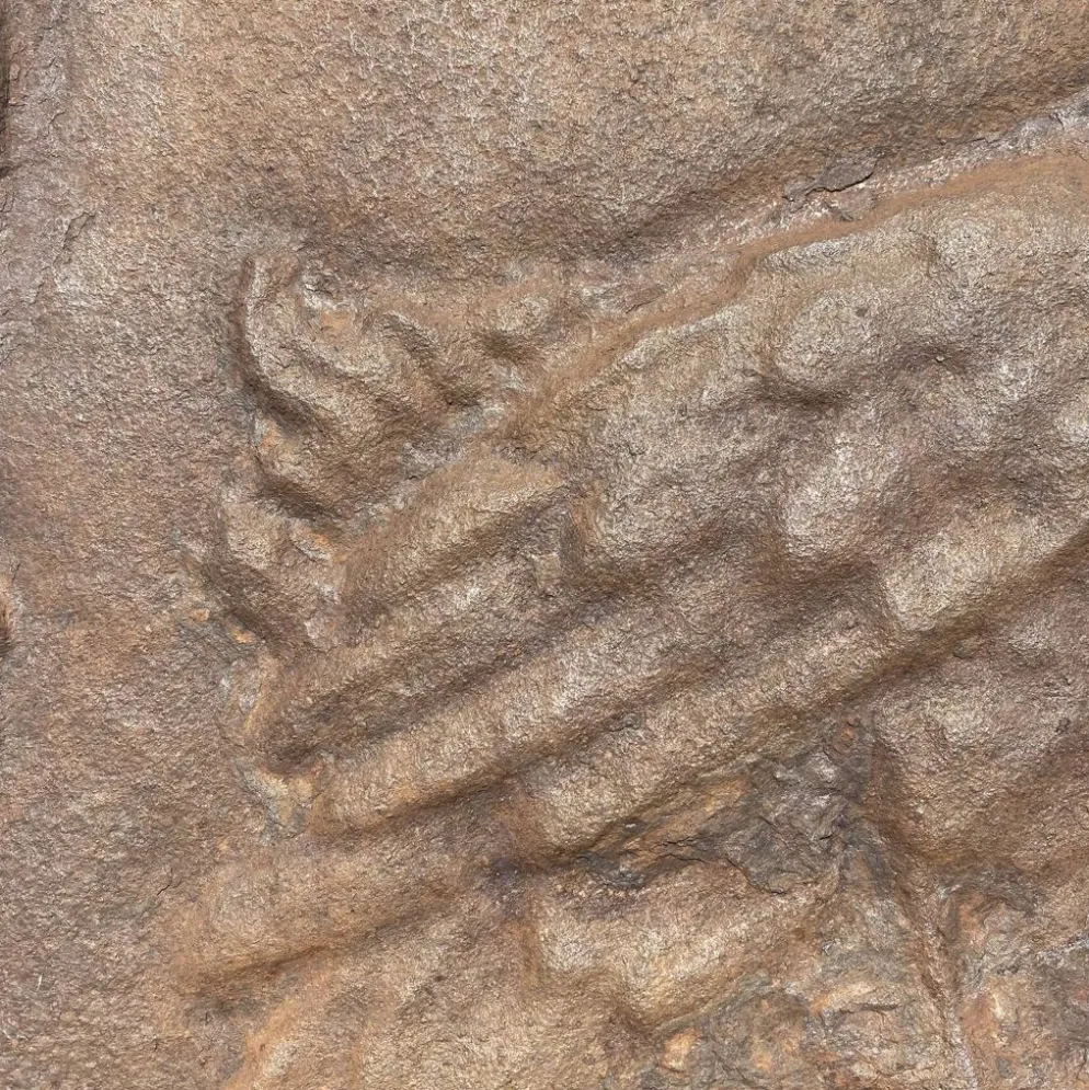 Ancienne plaque de cheminée en fonte ,décor aigle et soleil, 47 × 47 cm