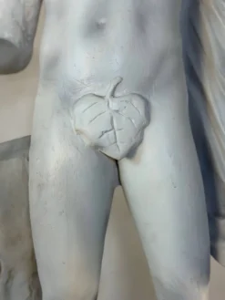 Apollon du Belvédère, plâtre d’après l’Antique, vers 1900
