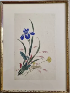 Aquarelle japonaise ancienne, Iris, ère Meiji, vers 1900, 33 × 43 cm