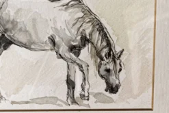 Aquarelle équestre, signée DEM (Denis Moulin)