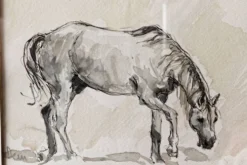 Aquarelle équestre, signée DEM (Denis Moulin)