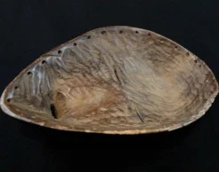 Art Africain - Ancien Masque de course Ethnie Dan - Côte d'Ivoire - 22,5