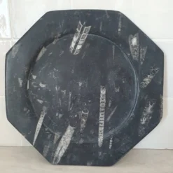 Assiette décorative en marbre fossilisé orthoceras