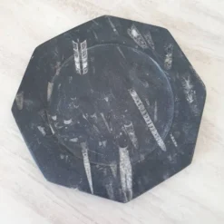 Assiette décorative en marbre fossilisé orthoceras
