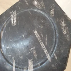 Assiette décorative en marbre fossilisé orthoceras