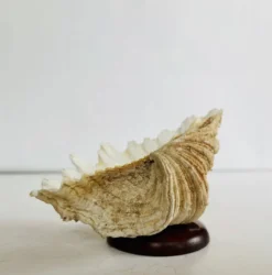 Bénitier