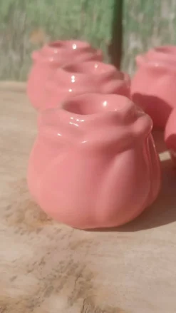 6 bougeoirs bouton de rose