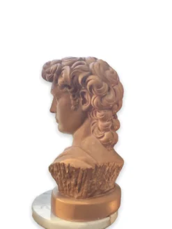 Buste David en plâtre