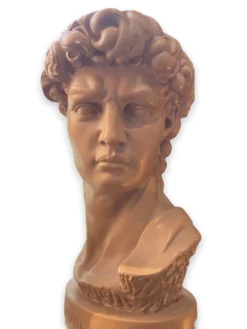 Buste David en plâtre