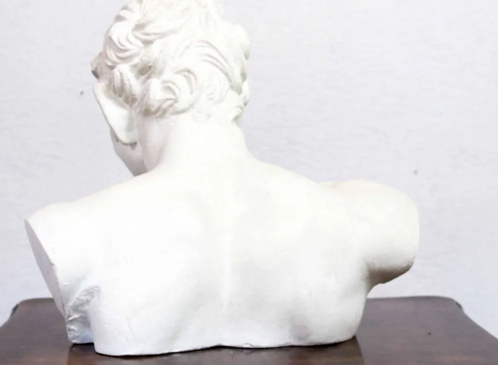 Buste de Faune en plâtre