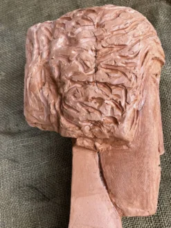 Buste de femme en terre cuite
