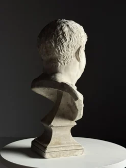 Buste de Vitellius en plâtre romain, 20e siècle.