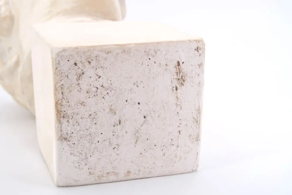 Buste d'homme en plâtre de l'Ephebe blond, années 70