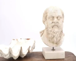 Buste d'homme Grec en plâtre Socrate, années 70