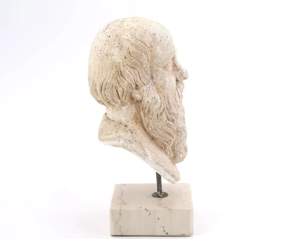 Buste d'homme Grec en plâtre Socrate, années 70