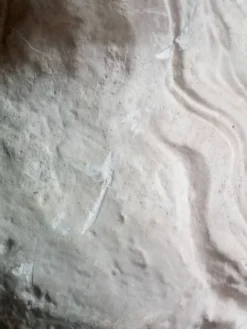 Buste en plâtre