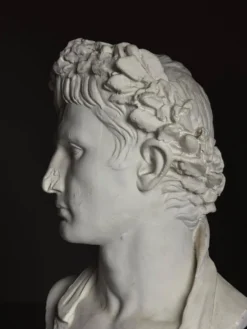 Buste en plâtre de l'empereur Auguste