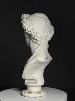 Buste en plâtre de l'empereur Auguste