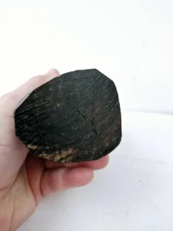 Buste femme africaine en bois d'ébène sculpté à la main art ethnique
