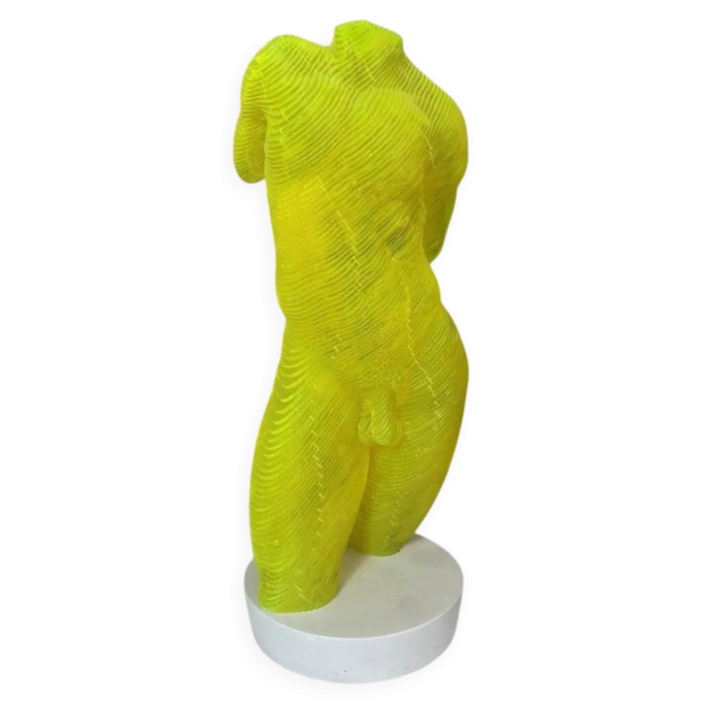 Buste Homme acrylique Olivier Duhamel