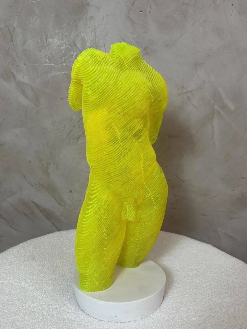 Buste Homme acrylique Olivier Duhamel