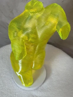 Buste Homme acrylique Olivier Duhamel