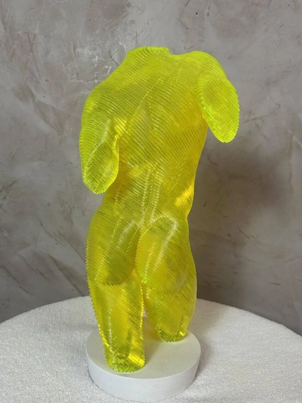 Buste Homme acrylique Olivier Duhamel