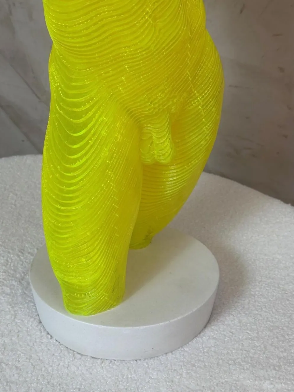 Buste Homme acrylique Olivier Duhamel