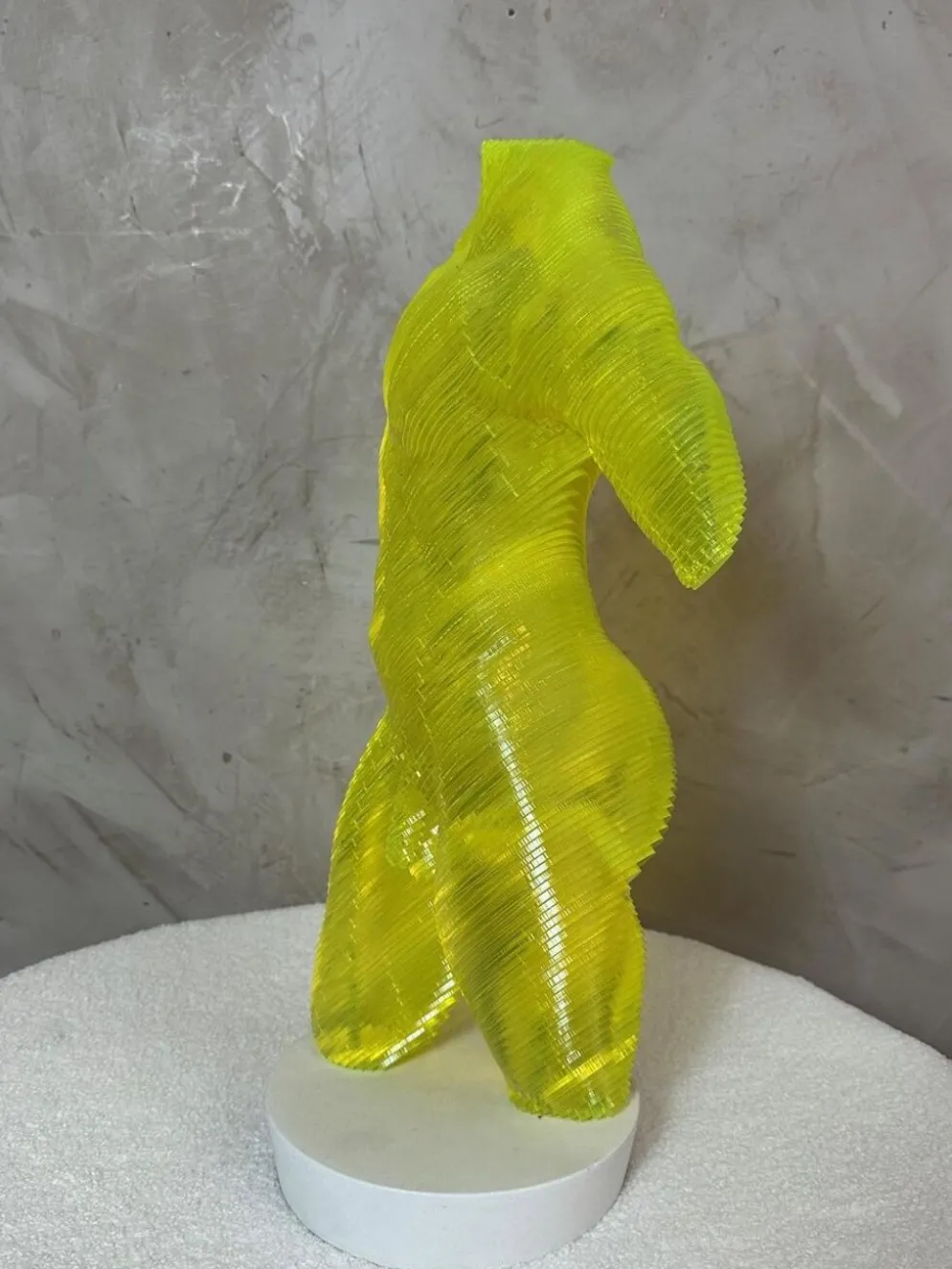 Buste Homme acrylique Olivier Duhamel