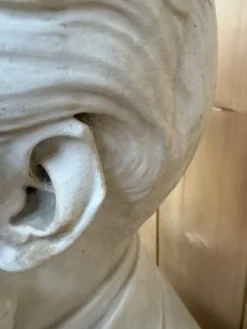Buste portrait masculin en marbre blanc – Époque XIXe siècle