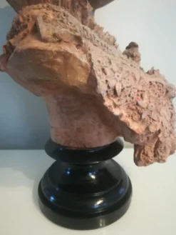 Buste signé D. Van Den Bossche en terre cuite