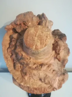 Buste signé D. Van Den Bossche en terre cuite