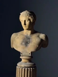 Buste sur piédestal Antinous, 20ème siècle
