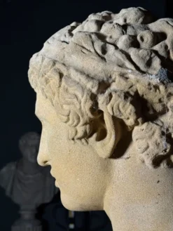 Buste sur piédestal Antinous, 20ème siècle