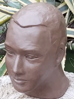 Buste tête homme terre cuite